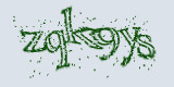 Проверочный код